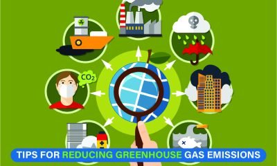 Multiple Steps of Emission Reduction to Create a Sustainable Future