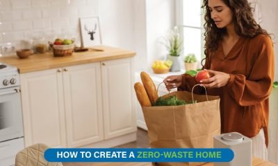 Reusable jars, cloth towels, and compost bin showing simple zero-waste home practices
