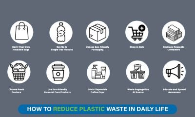 Reusable bag and water bottle replacing single-use plastics to promote sustainable daily living