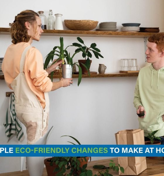 Family practicing eco-friendly habits at home with LED lights, composting, and reusable products