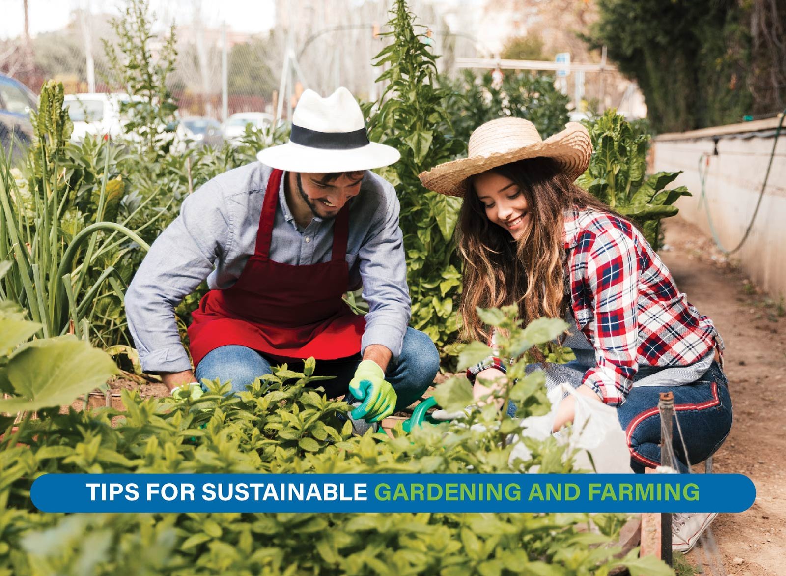 Farmer using compost and drip irrigation in a green garden to promote sustainable farming practices